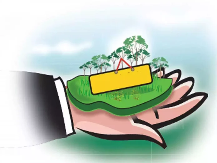 Legal action should be taken against the land grabbers