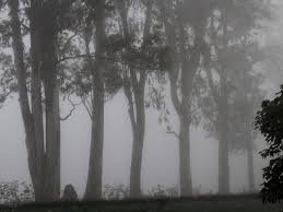 Snow across the district