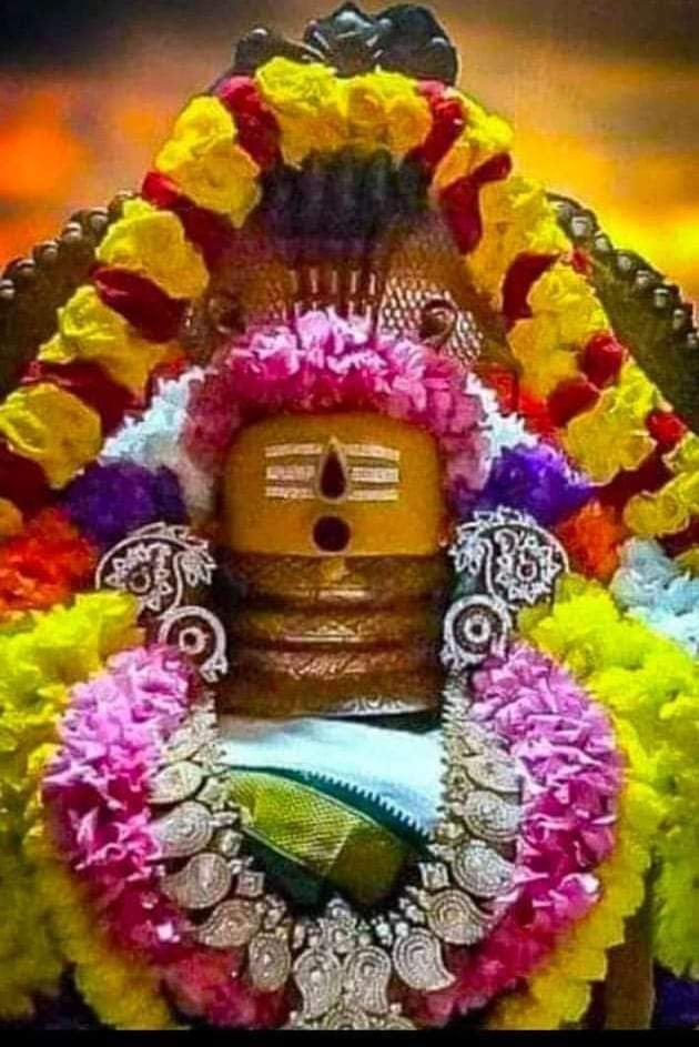 Brahmotsavam of Sri Kapileswara Swamy from 19th to 28th February     