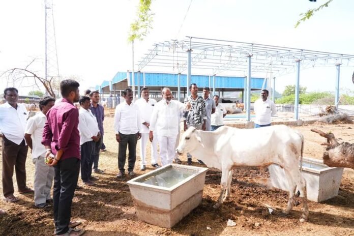 We will protect the faith and trust of devotees: Government Whip Adi Srinivas