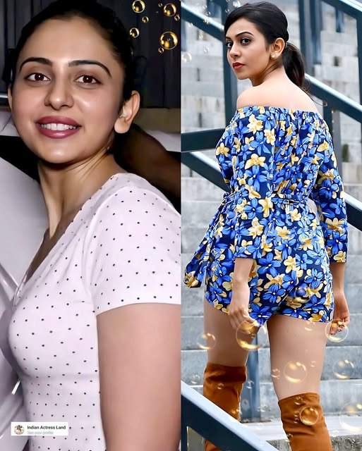 Rakul in Telangana.. Trisha in Tamil