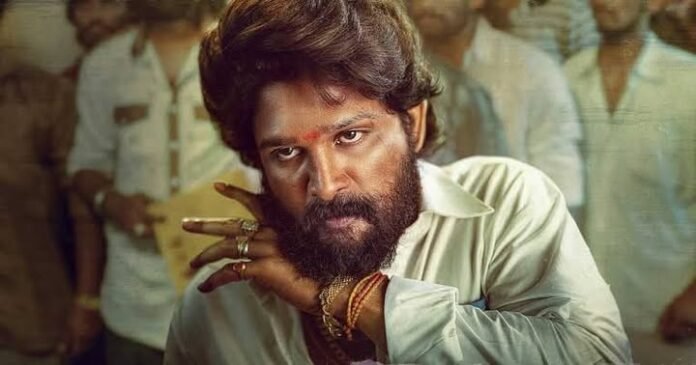 Dress code for bunny fans