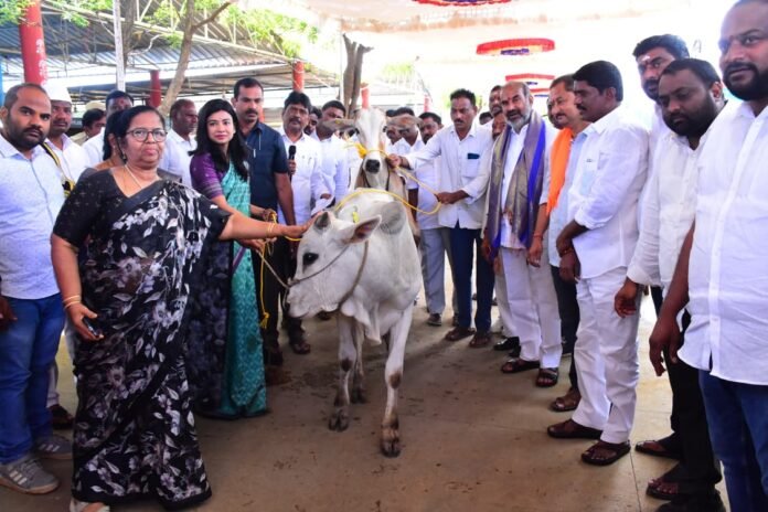 Transparent distribution of 'Rajanna Kodela' [scheme benefits]: Whip and MLA Adi Srinivas
