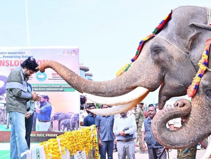 Pawan Kalyan welcomed the 'kumki' elephants at the Mangalagiri office.