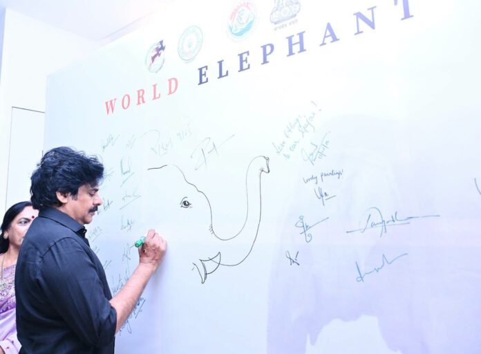 AP’s special plan to curb human-wildlife conflict and conserve elephants: Pawan Kalyan AP’s special plan to curb human-wildlife conflict and conserve elephants: Pawan Kalyan