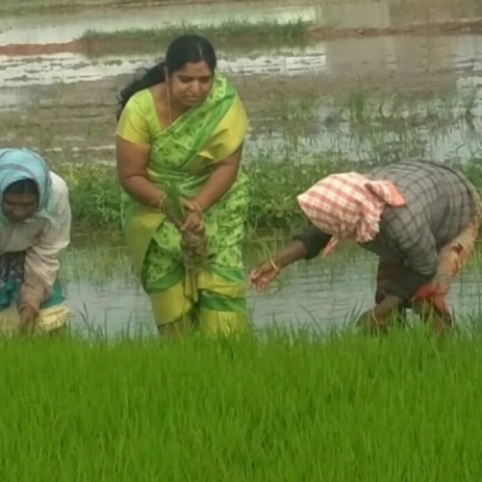 Are we not the reason for the formation of El Niño? — Manjula Pattipati.